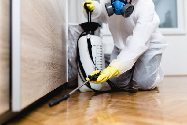Best Ant Control Services  in National Park, NJ