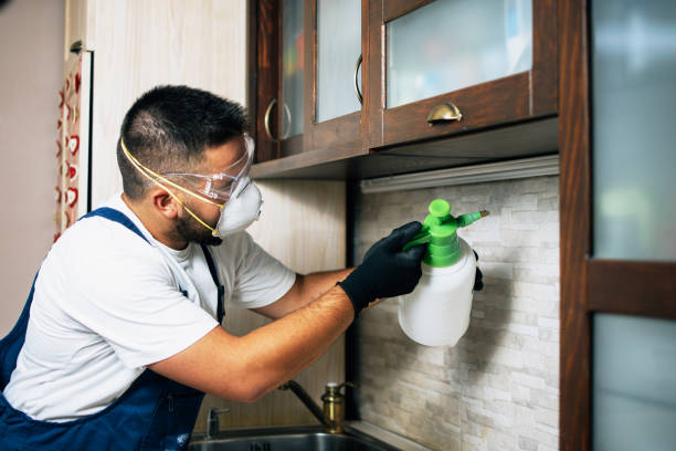 Best Affordable Pest Control Services  in National Park, NJ
