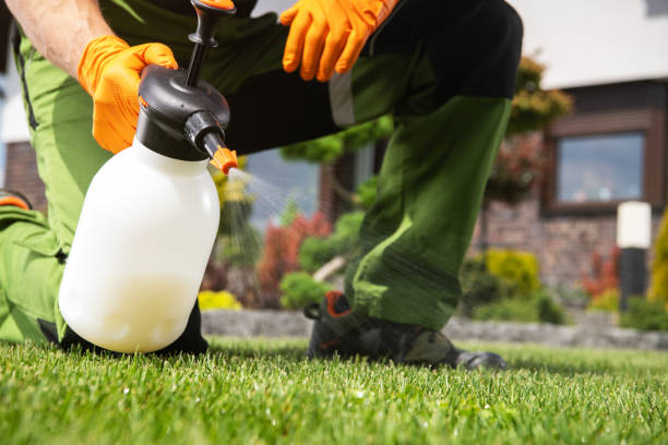 Best Affordable Pest Control Services  in National Park, NJ