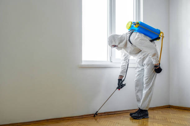 Professional Pest Control in National Park, NJ