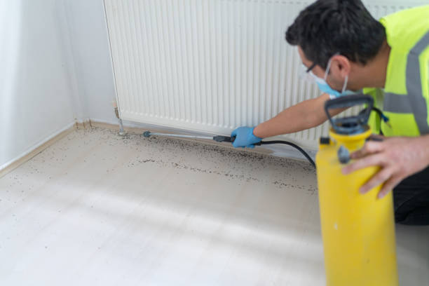 Best Residential Pest Control  in National Park, NJ